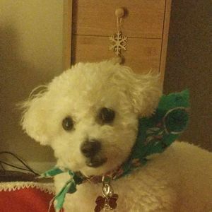 Meet your Posher, Kim